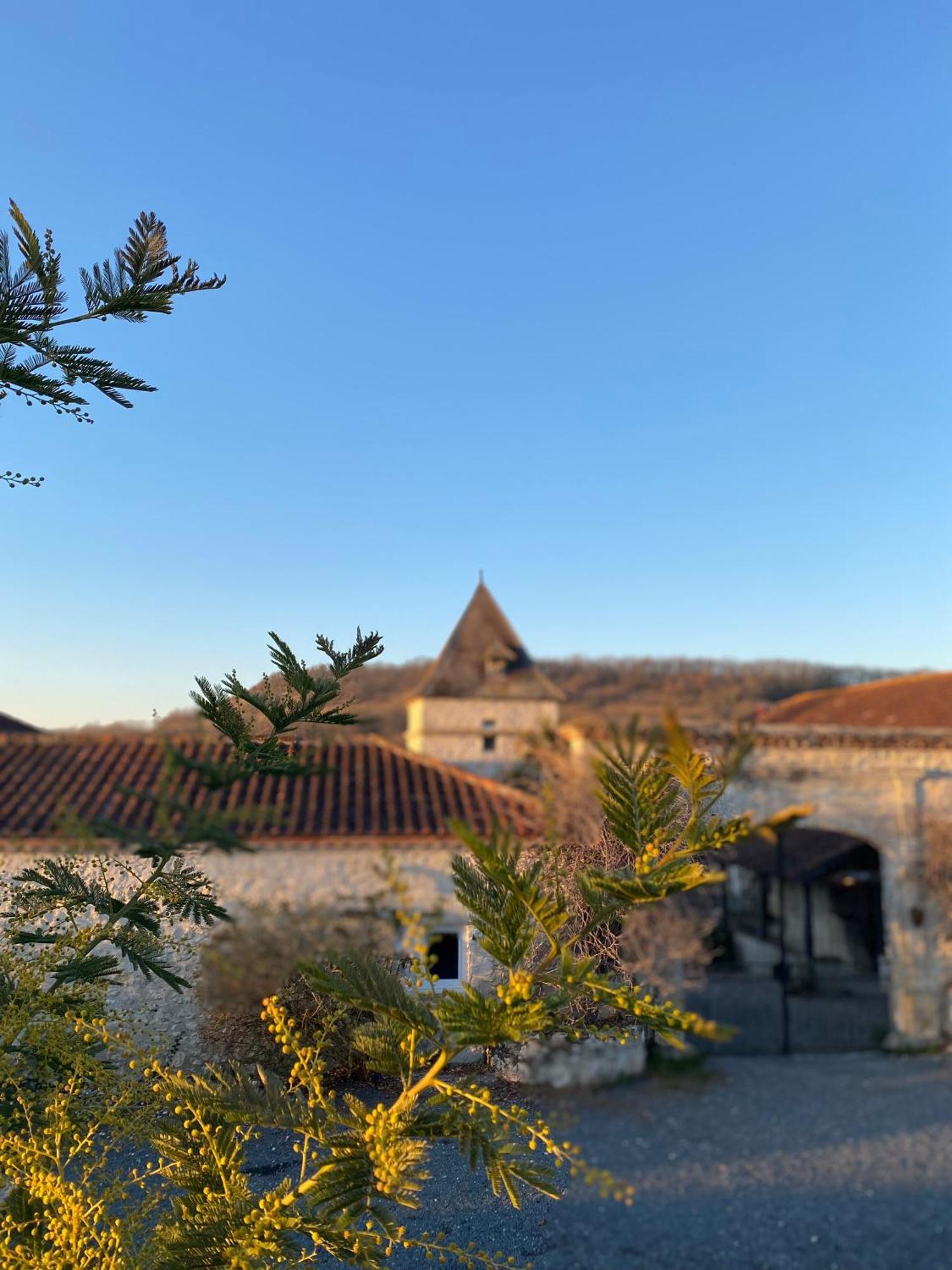 ホテル Domaine De Villot Sainte-Colombe-de-Villeneuve エクステリア 写真